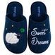 Жіночі закриті капці БЕЛСТА із синьої повсті прикрашені вишивкою Sweet Dreams - 2